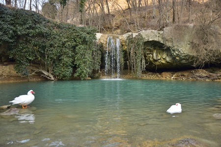 Beautiful Istria: agrotourism Dol in Gologorički dol